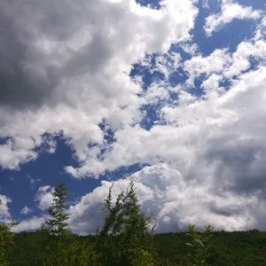 Meet your Posher, Evita